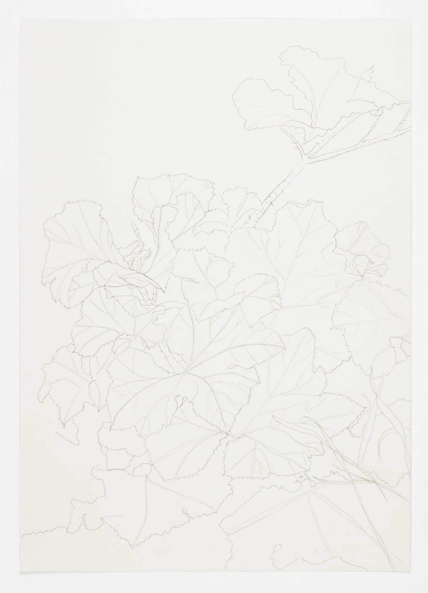 Lucile Desamory Sous le soleil 2020