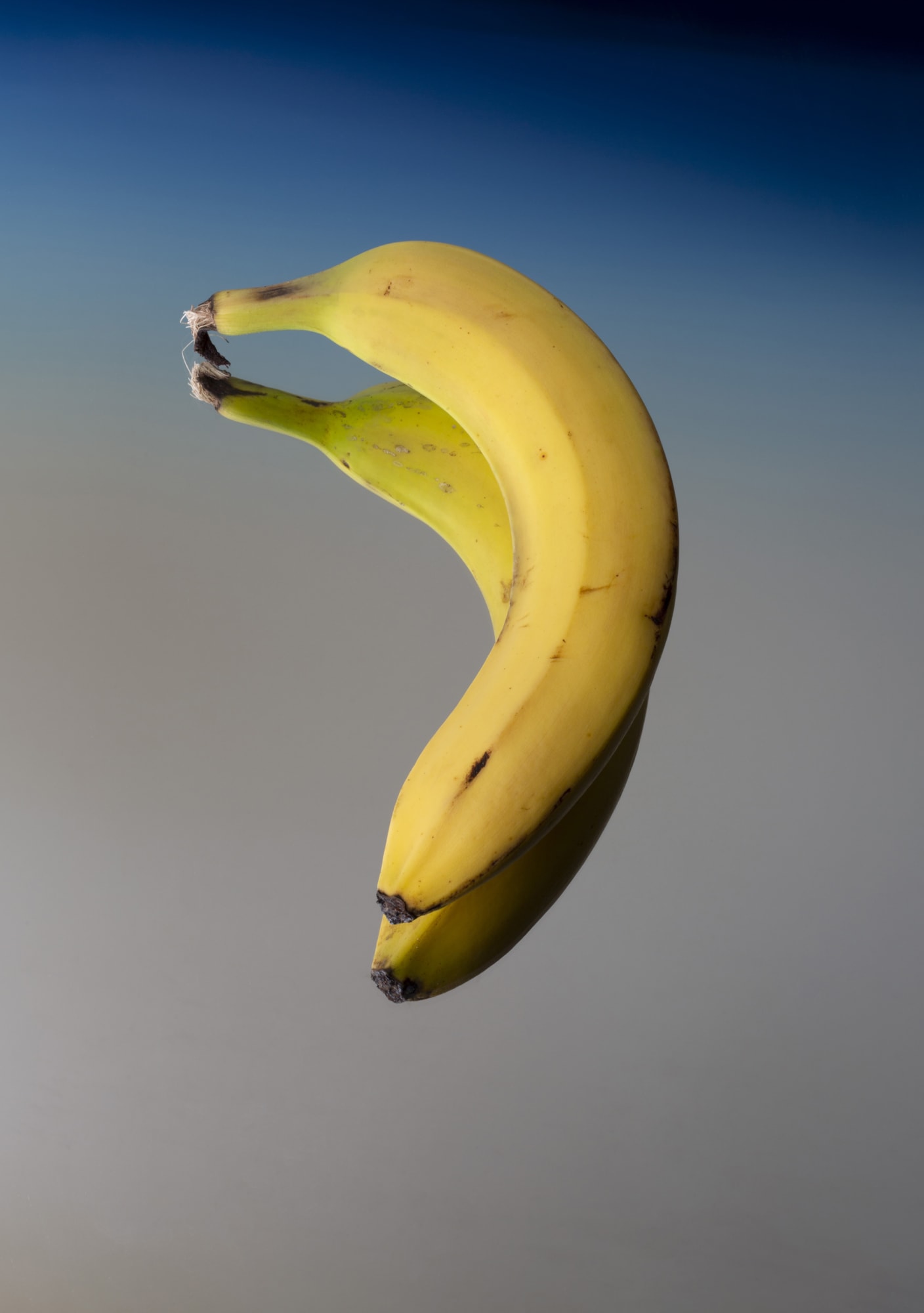 Uta Eisenreich, 24. Time flies like an arrow, fruit flies like a banana, 2021.