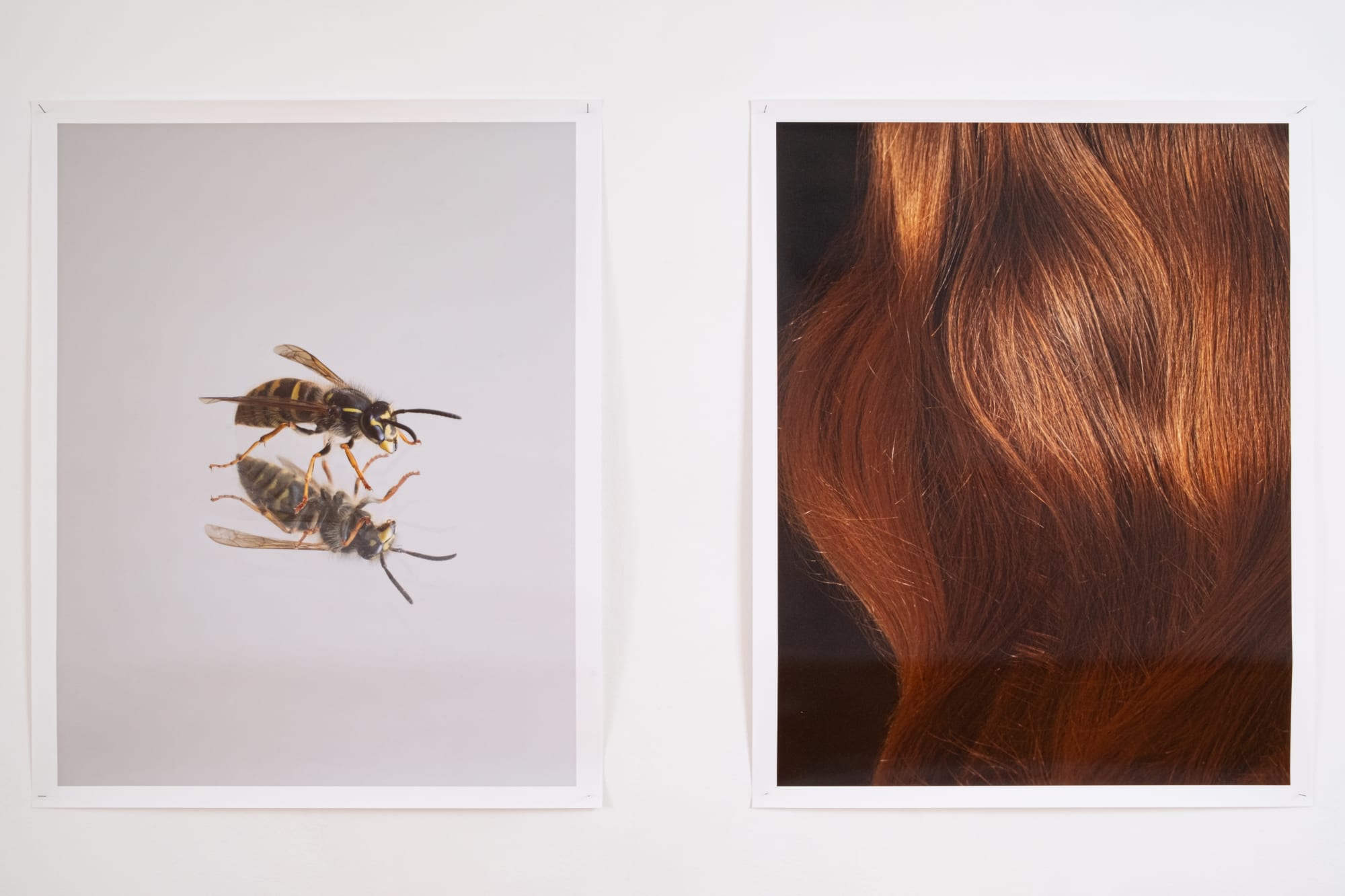 Uta Eisenreich | As If