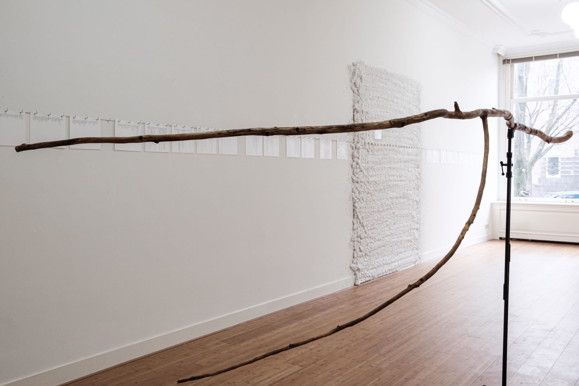 Suchan Kinoshita | Platzhalter