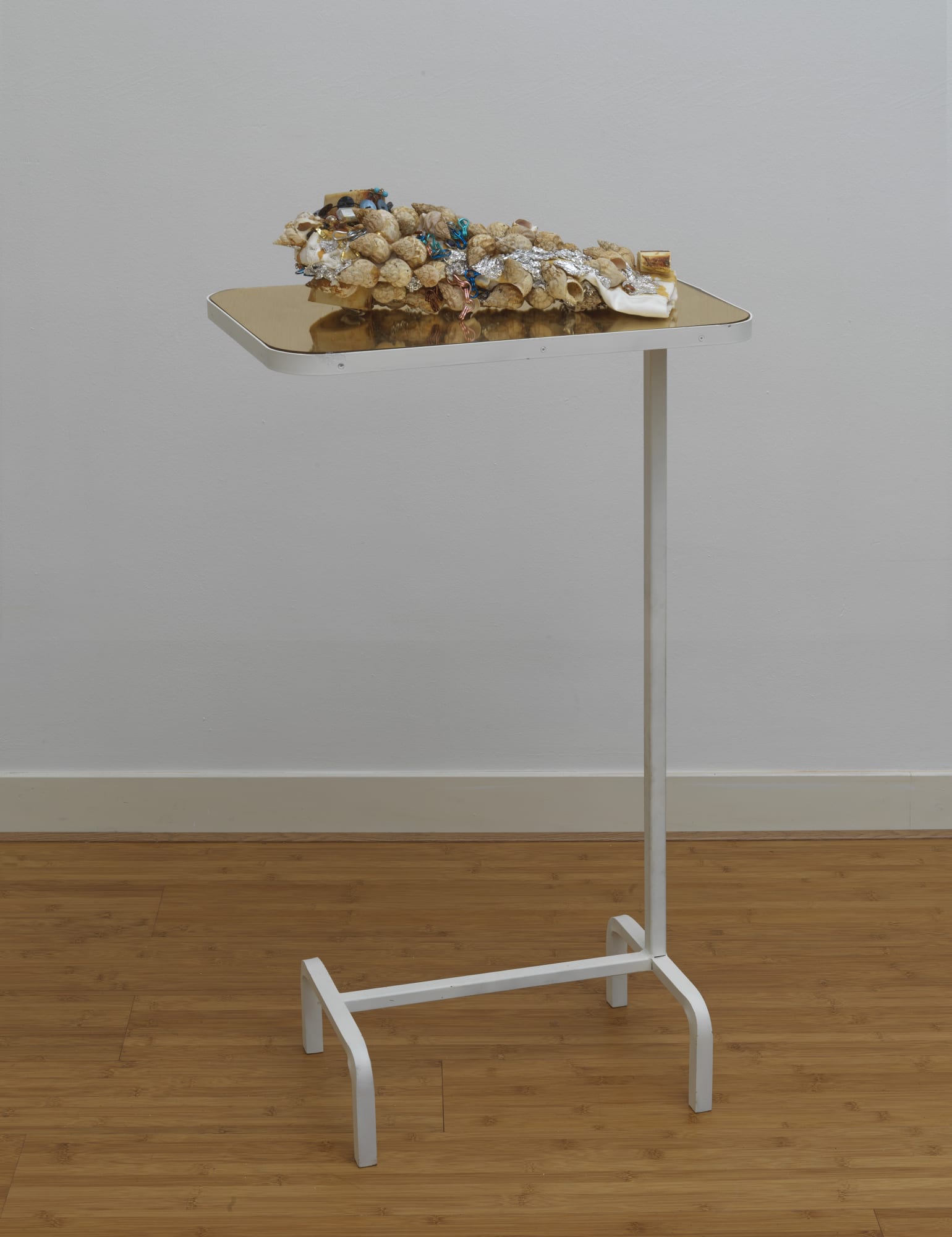 Pauline Curnier Jardin | Le Lente Passioni