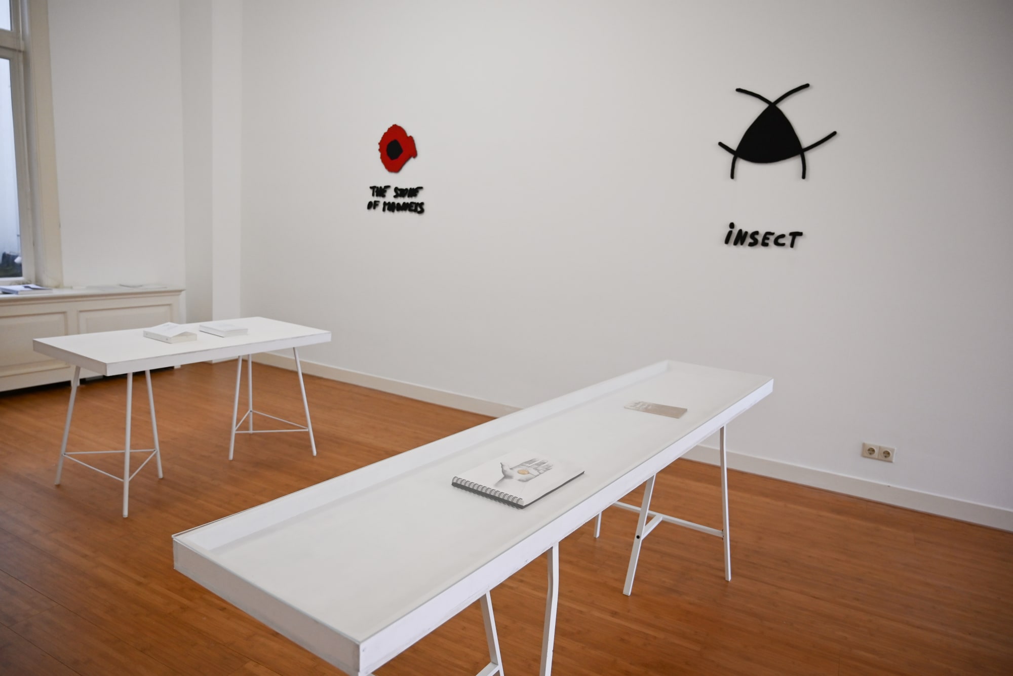 Dora García | Insect, History, Mirror, Revolution