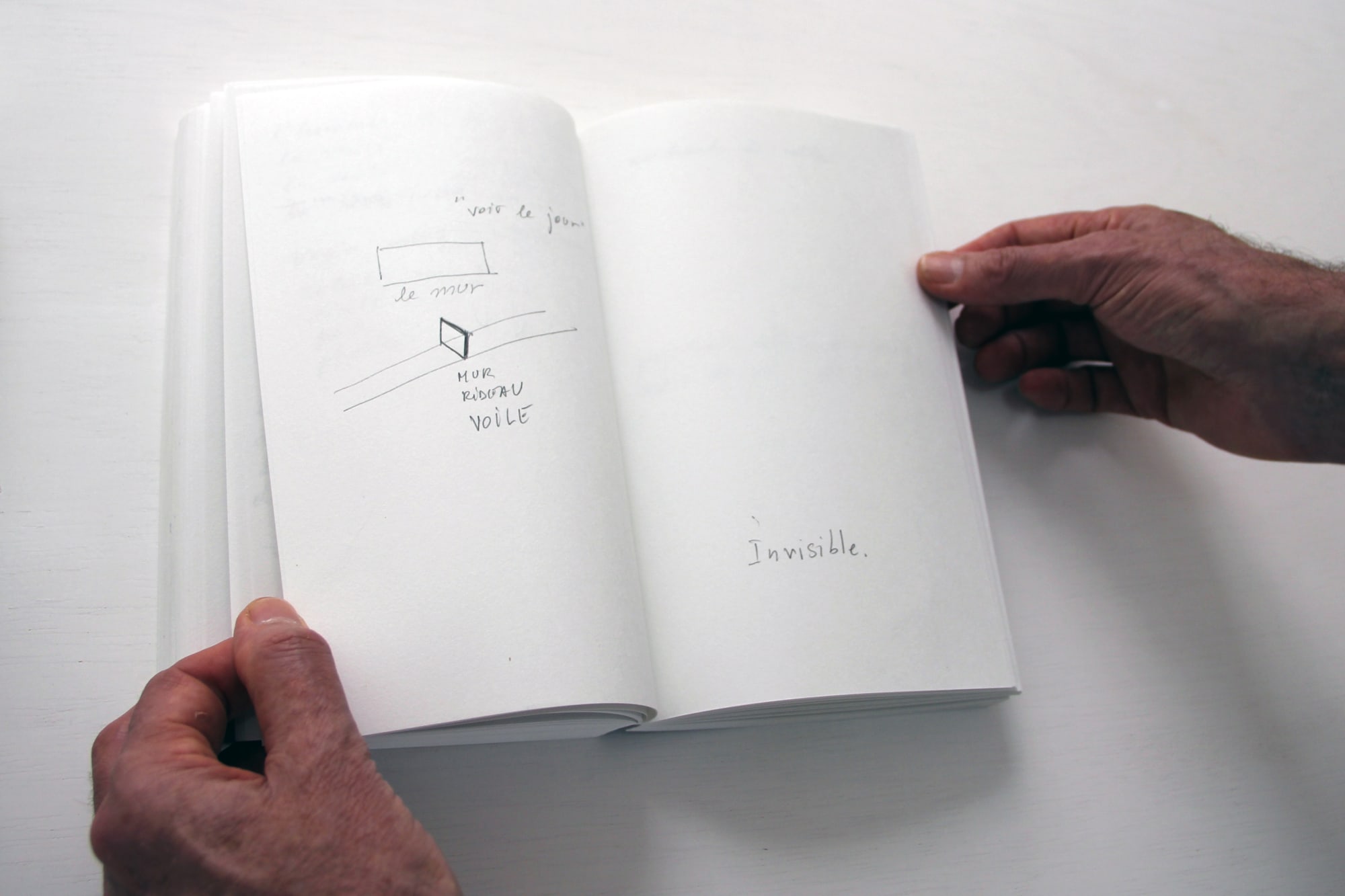 Dora García | Insect, History, Mirror, Revolution