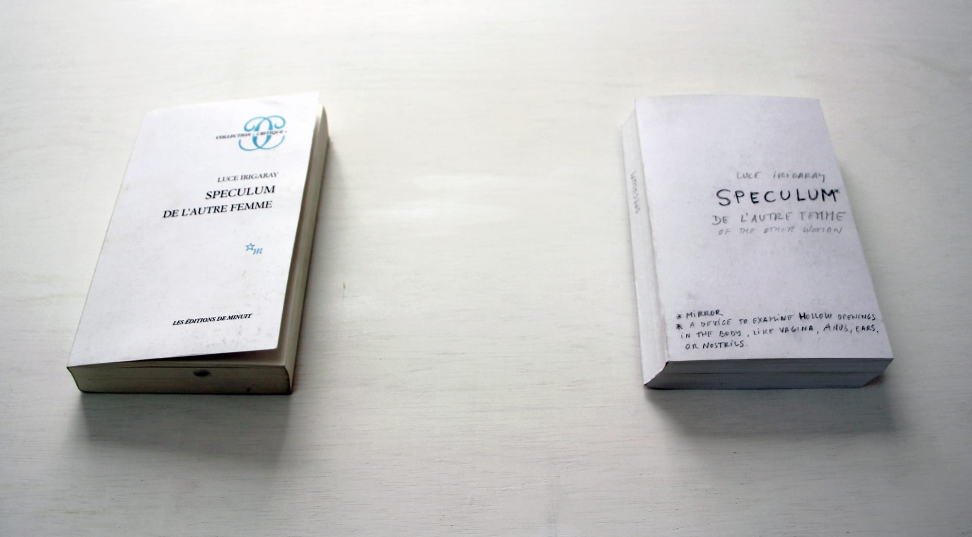 Dora García | Insect, History, Mirror, Revolution