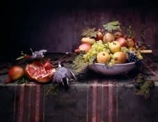 Miro : Um fotógrafo no século 17