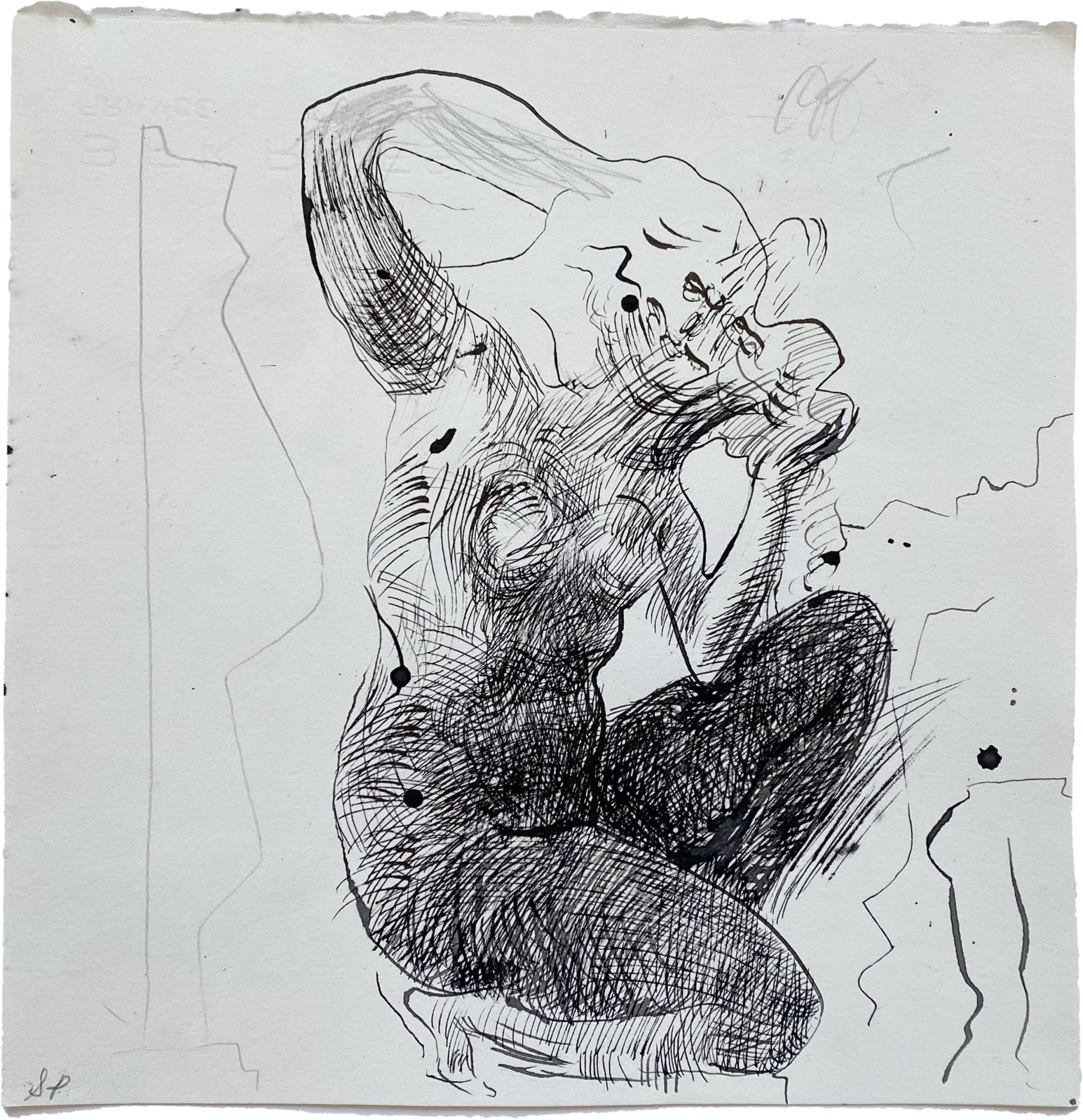 VENUS IN QUARANTINE, 2020