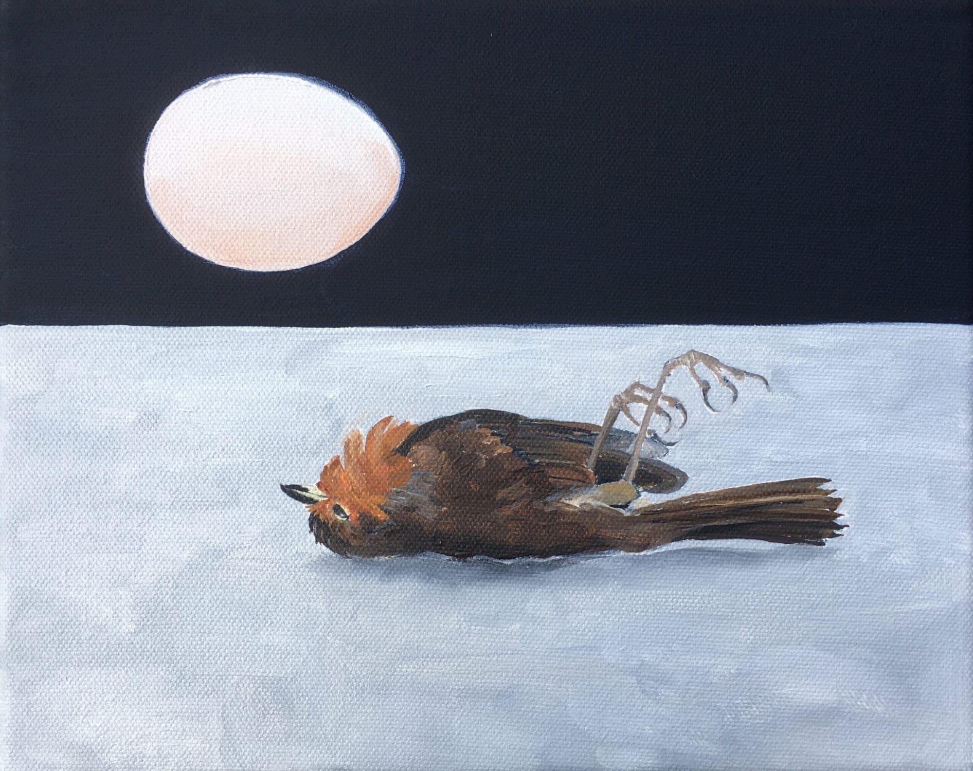 Flan Flanagan December Fall, 2020