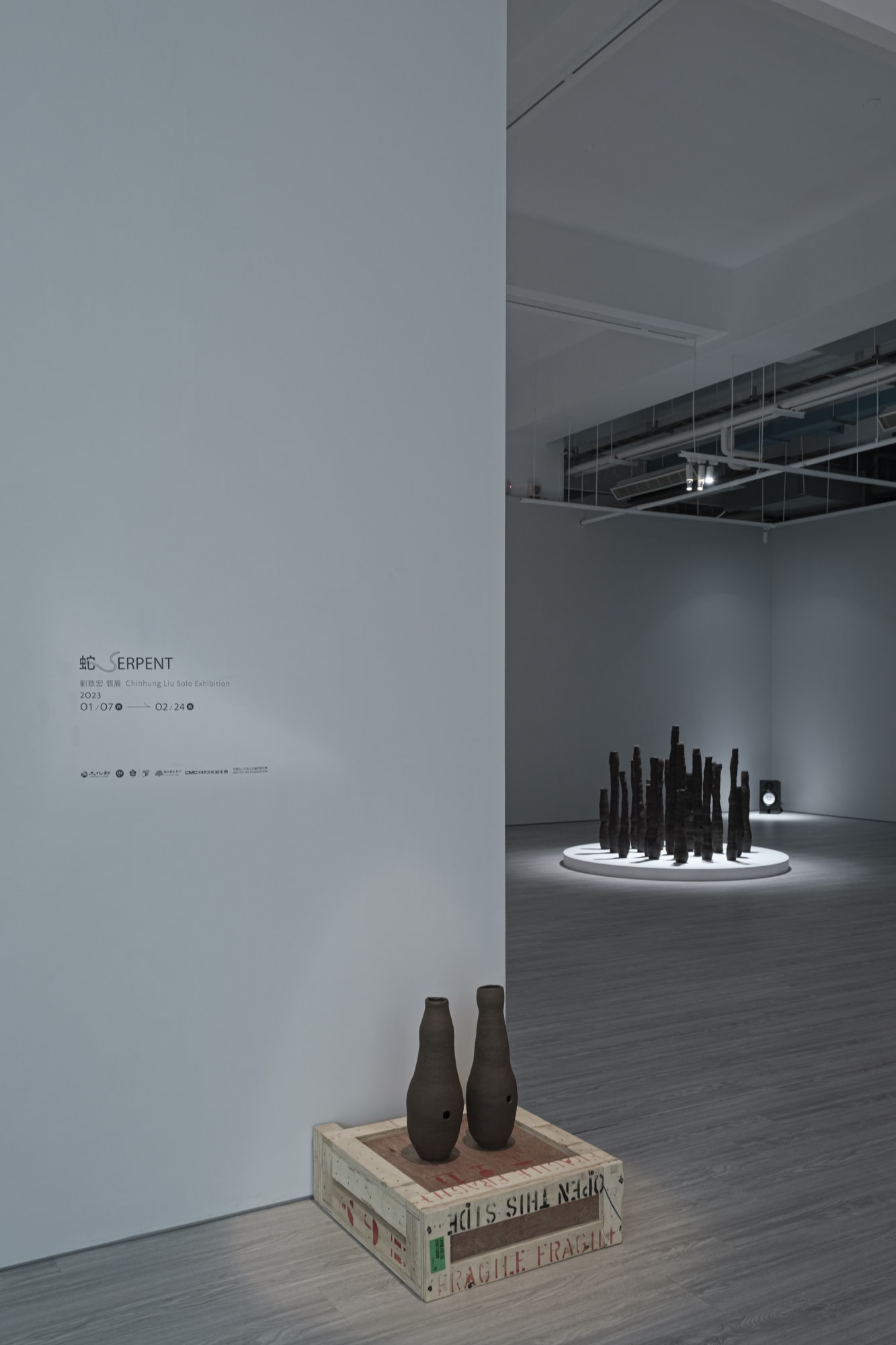 Chihhung Liu : SERPENT