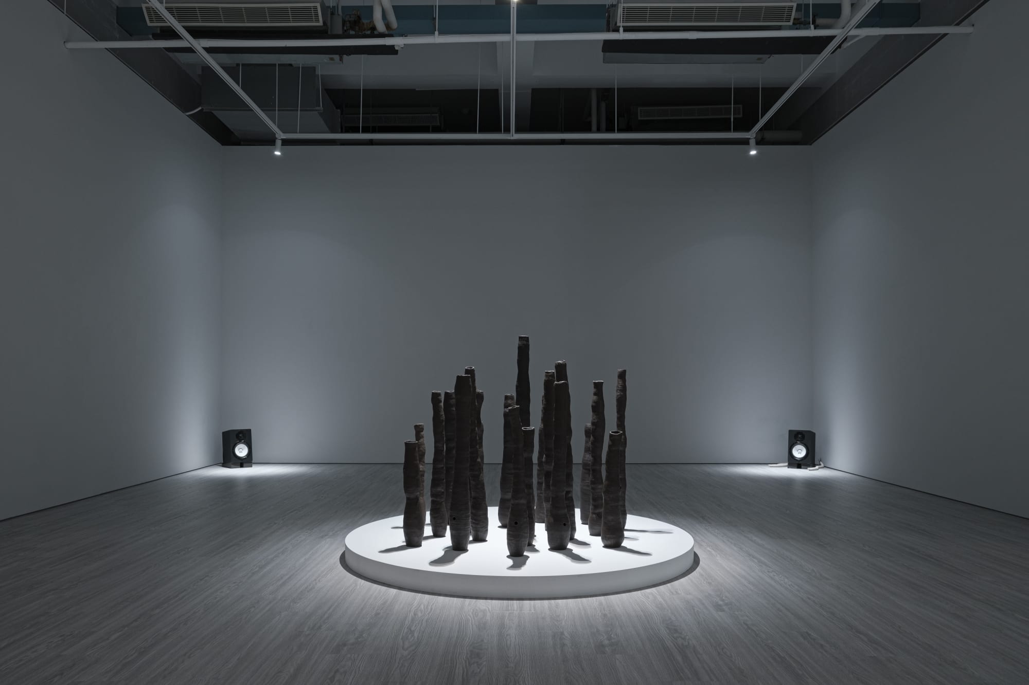 Chihhung Liu : SERPENT