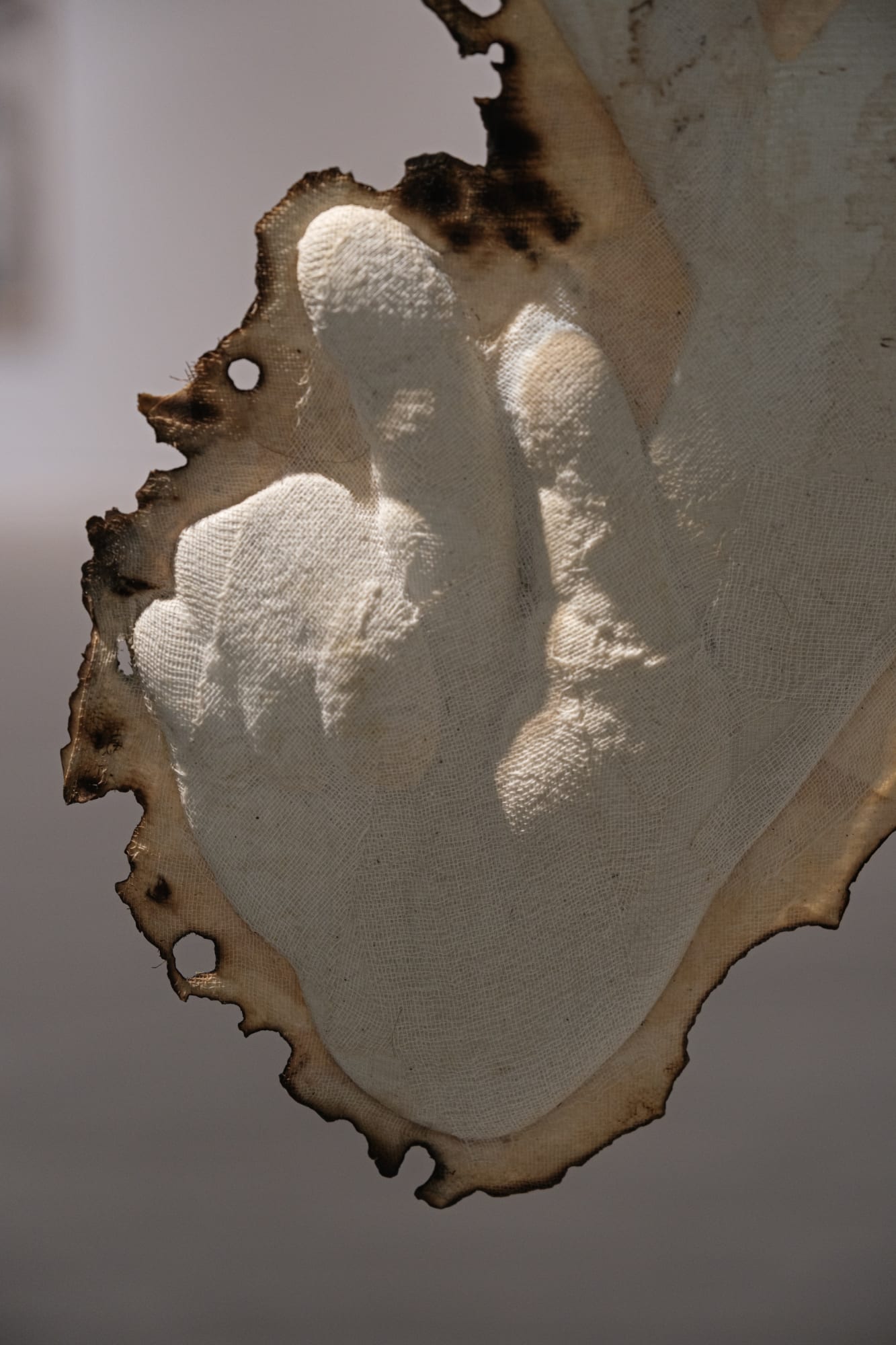 「大樹當代」李明則