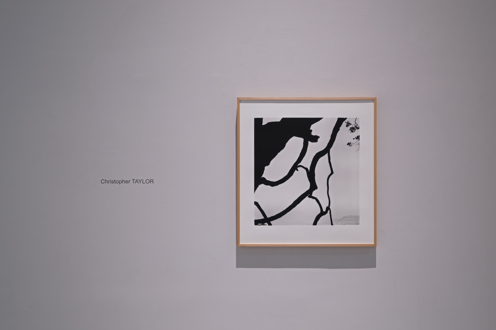 「森林地帶」克里斯托弗．戴樂