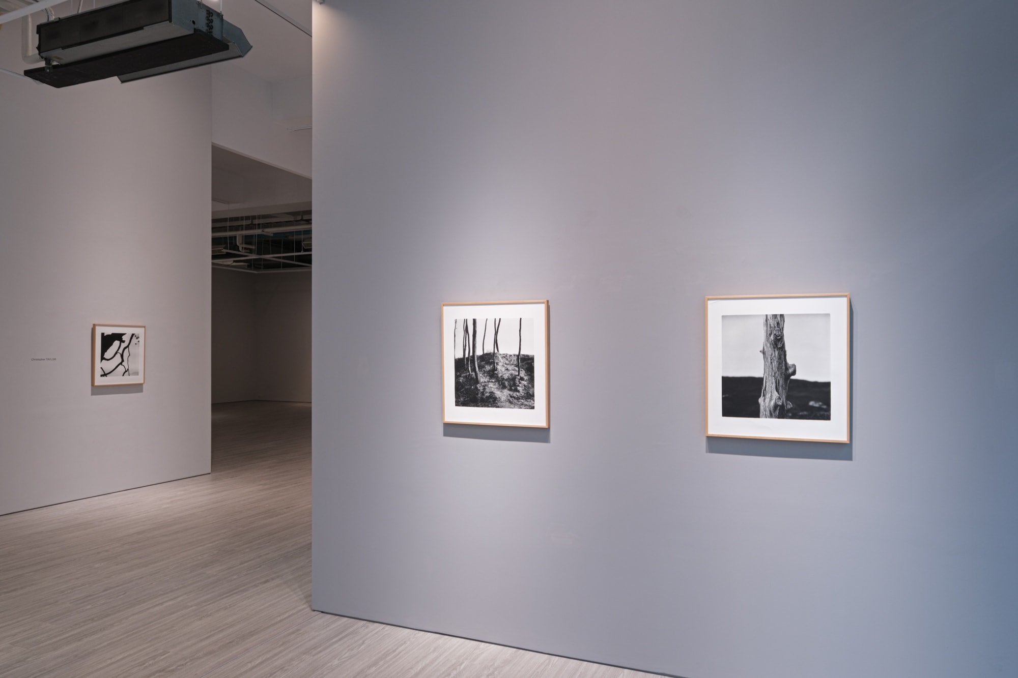 「森林地帶」克里斯托弗．戴樂