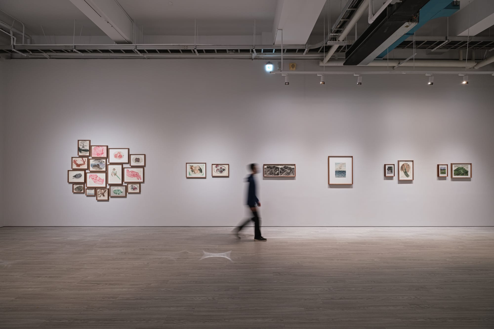 「岩石、月光與山花小徑」林銓居