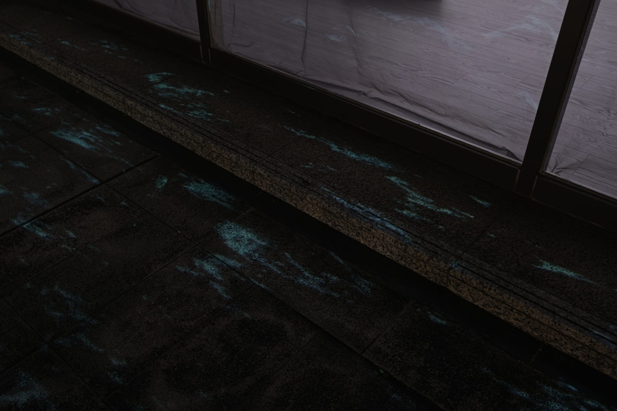 Project Room｜「看作是海」莊禾