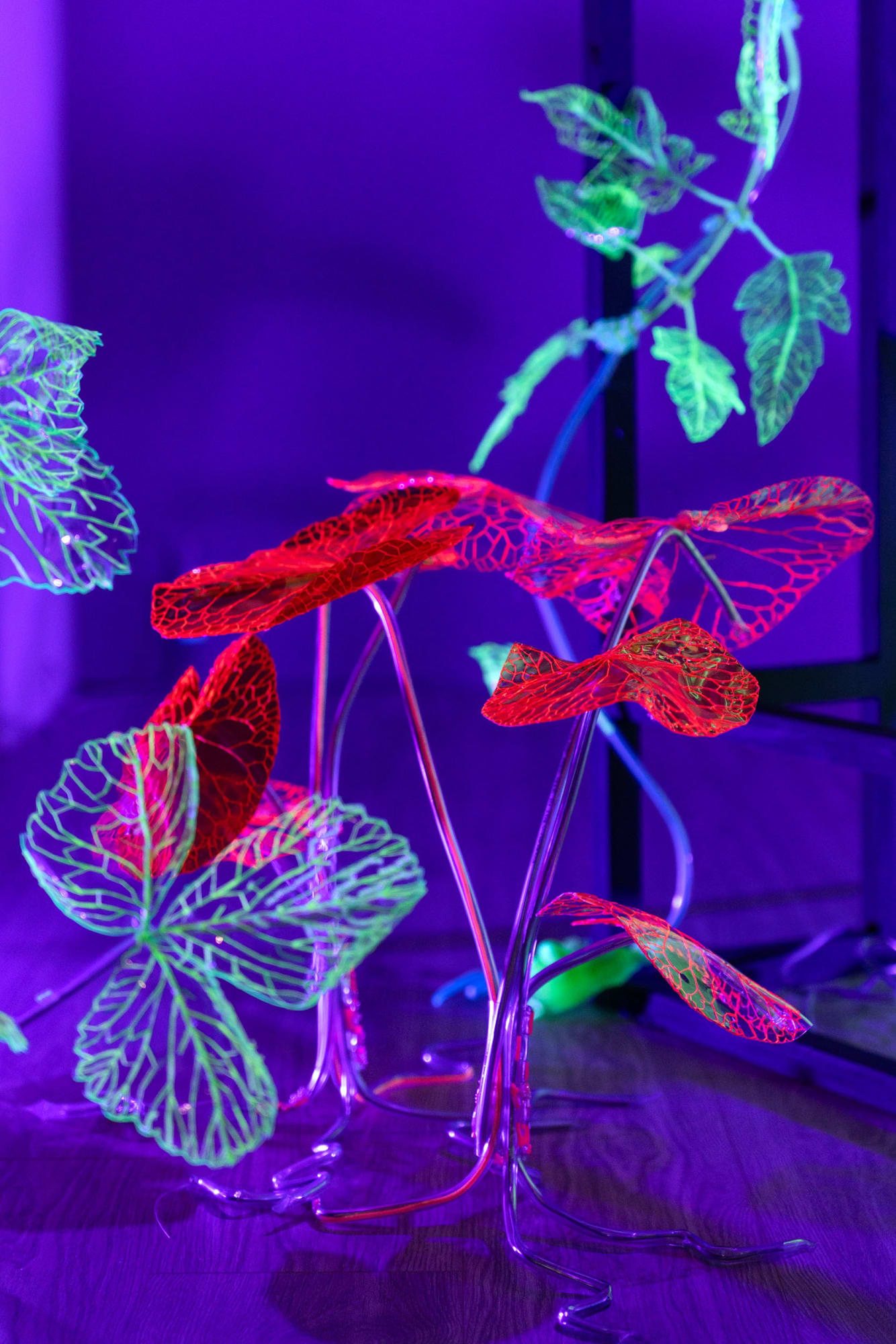 Project Room | Andreea Medar: Leftovers from the Future