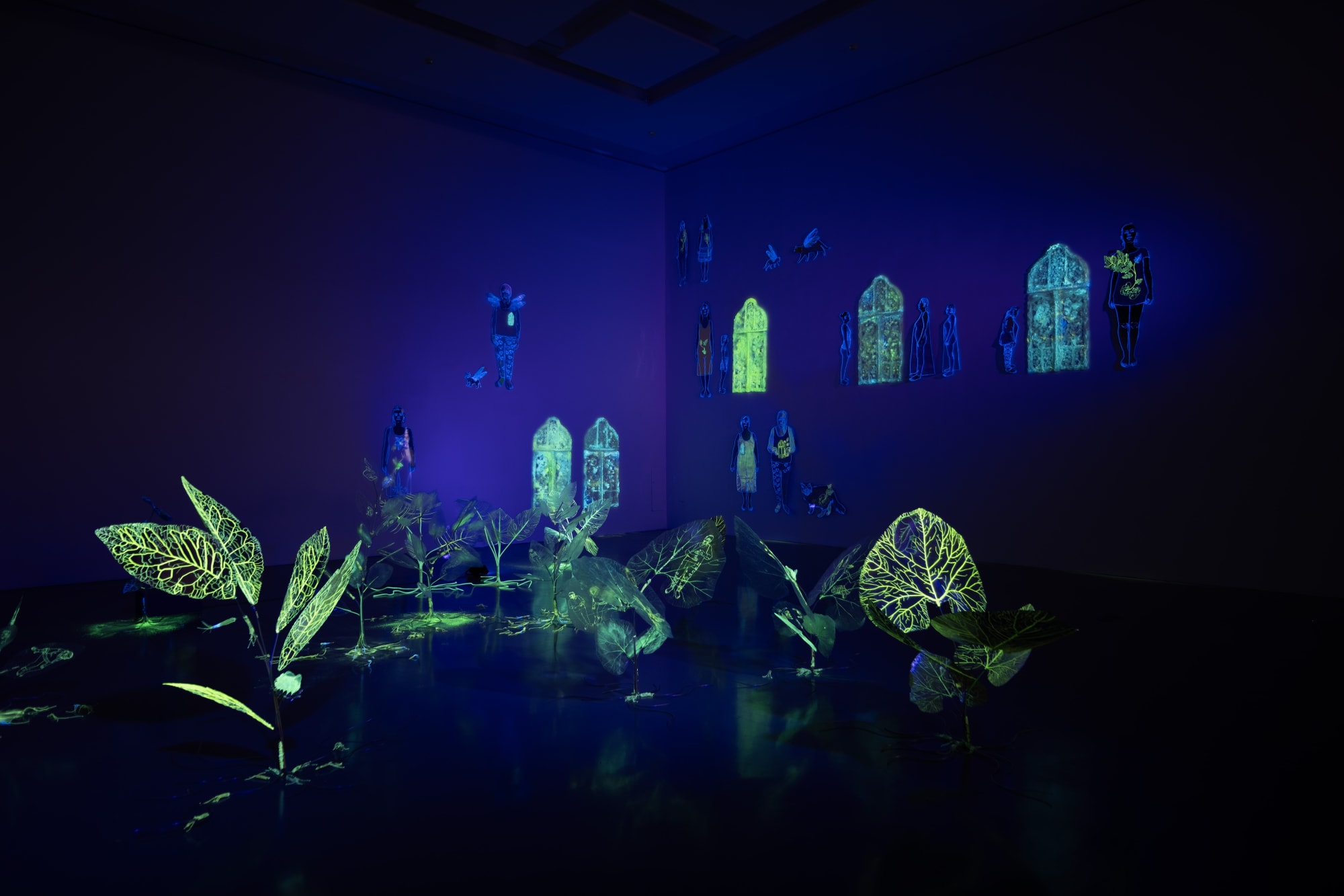 從你的窗櫺開始綻放以來—安德利亞．梅達爾個展