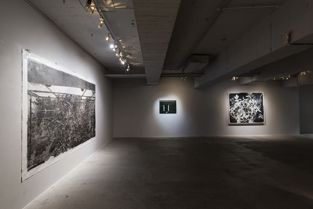 ｢生生長流｣安卓藝術十周年特展 II