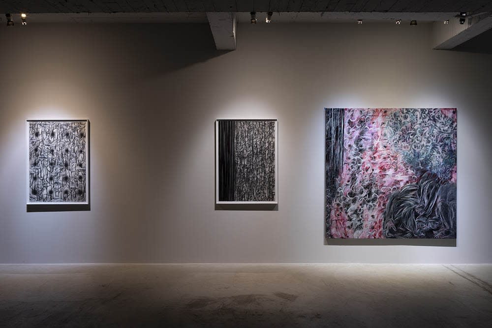 Appearances under Erasure by Juin Shieh