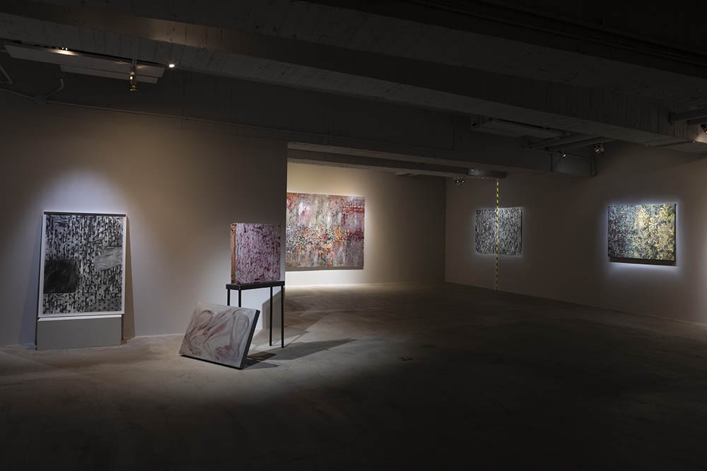 Appearances under Erasure by Juin Shieh