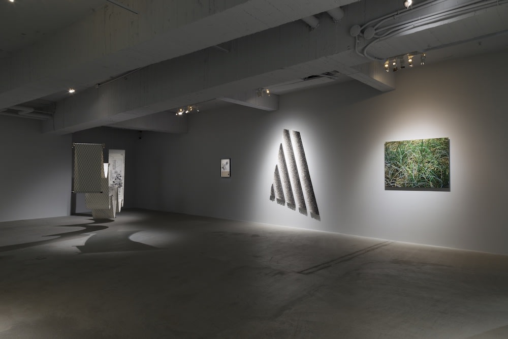 I Dwell in Possibility by Mia Liu