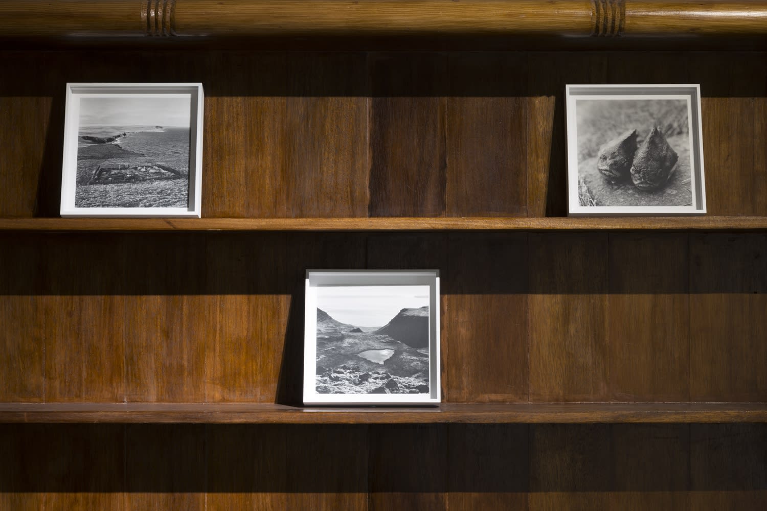 Steinholt by Christopher Taylor