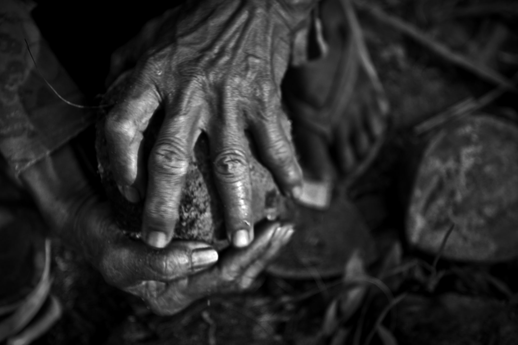 Nana Buxani,《椰乾農場工人 / 手》Copra Farm Workers / Hands, 2010