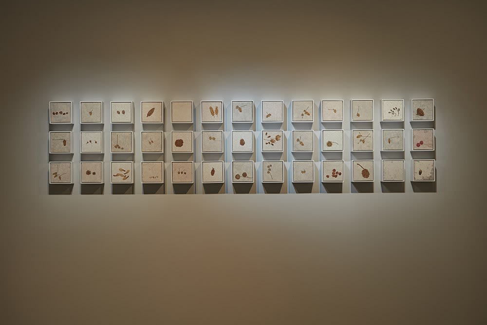 Boundless Life by Chung Shun-Wen