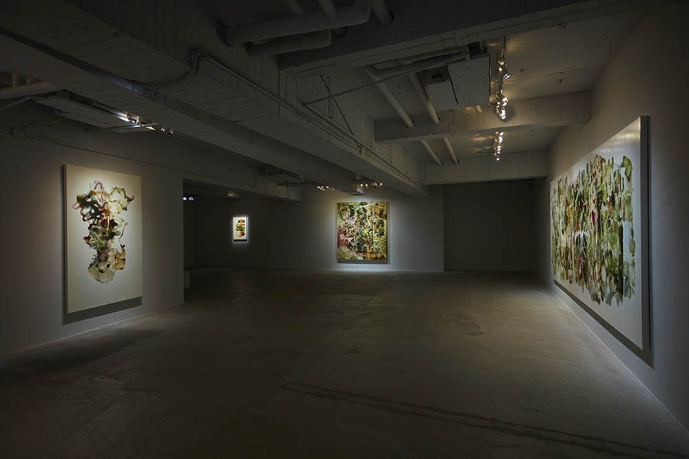 ∞ Lemniscate Syaiful Garibaldi