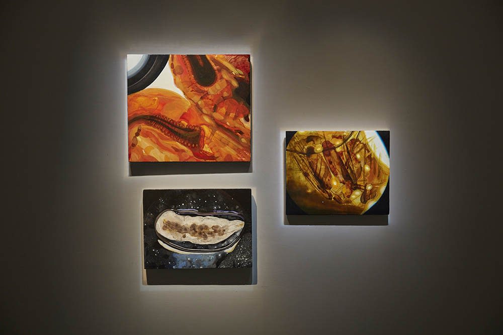 ∞ Lemniscate Syaiful Garibaldi