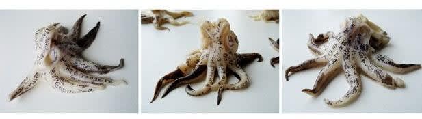 蔡佳葳 Charwei Tsai,《外人》Etrangere, 2007