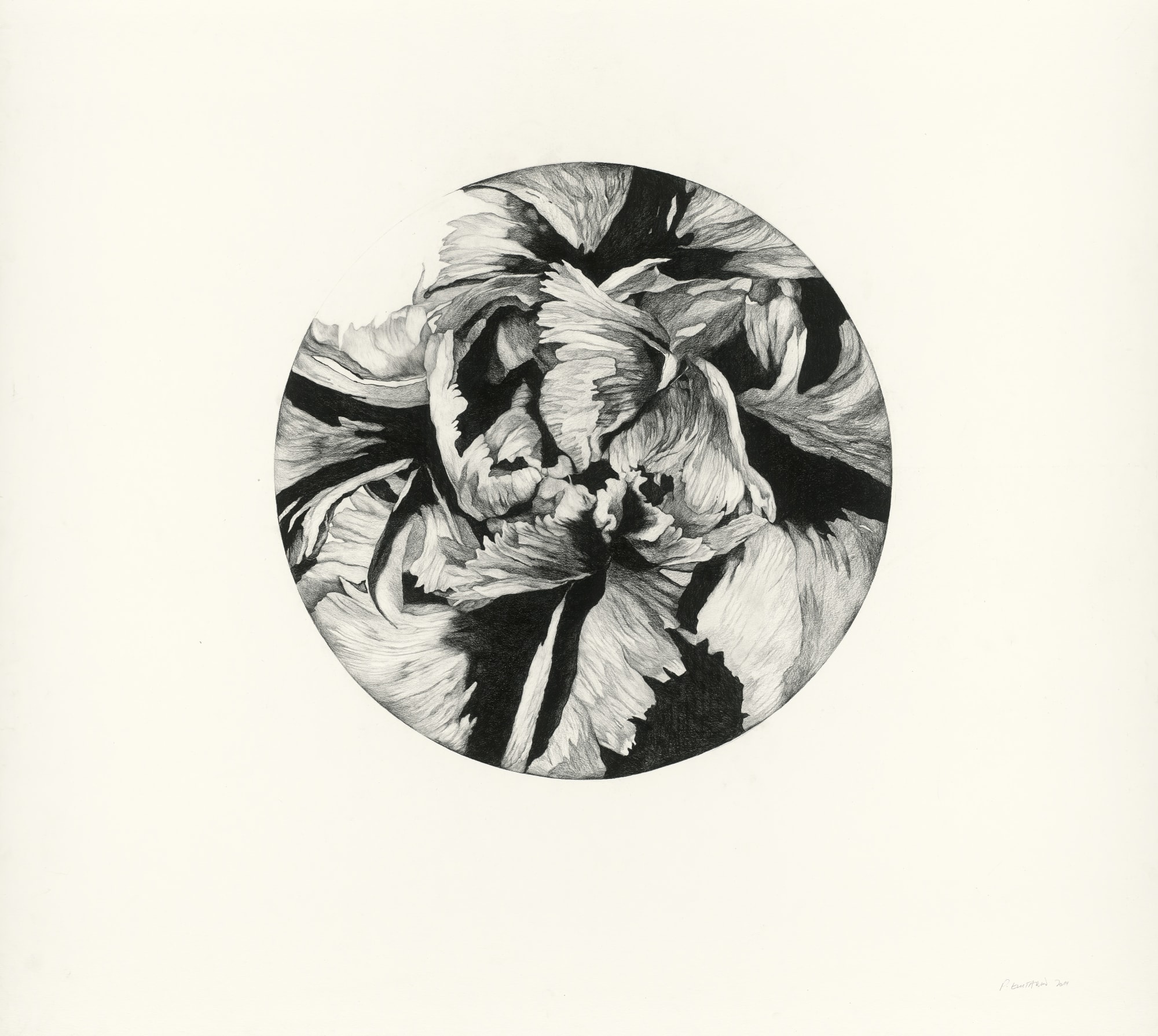 派翠西亞．伊斯塔柯,《巴別輪廓 輪廓1 研究1》Figure Babel, Fig. I / Study 1,2014