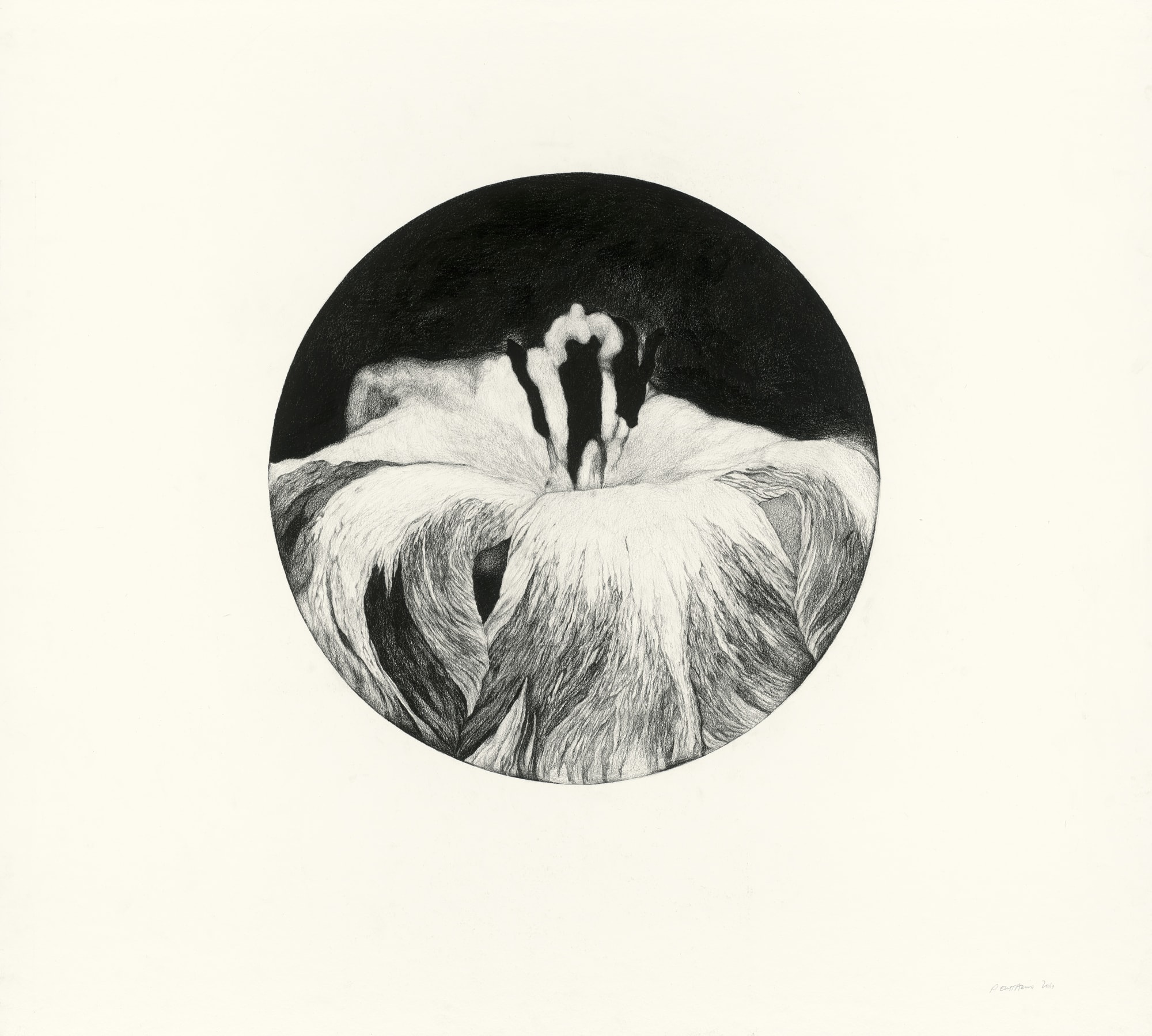 派翠西亞．伊斯塔柯,《巴別輪廓 輪廓1 研究2》Figure babel, Fig. I / Study 2,2014