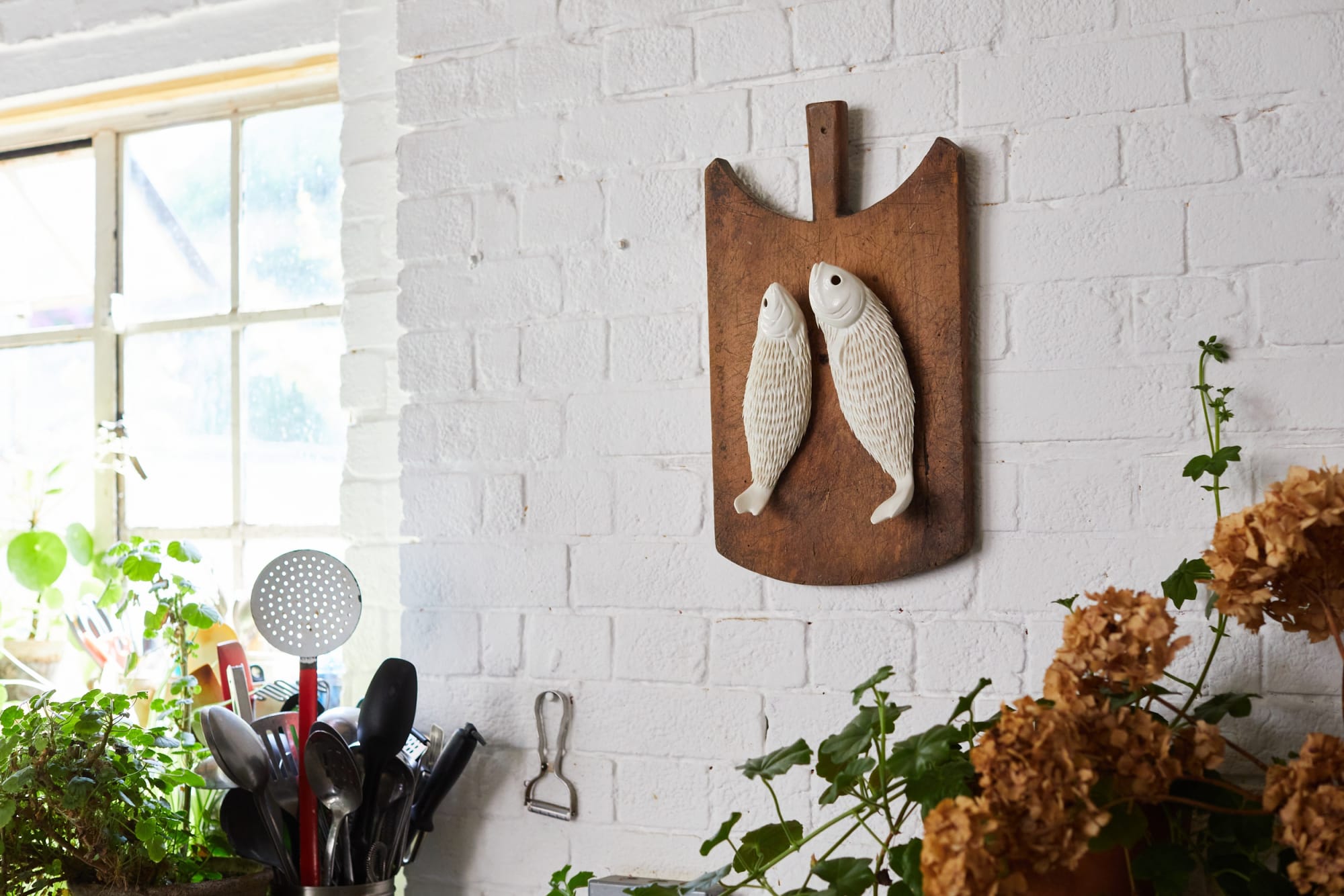 20 Years of Cavaliero Finn