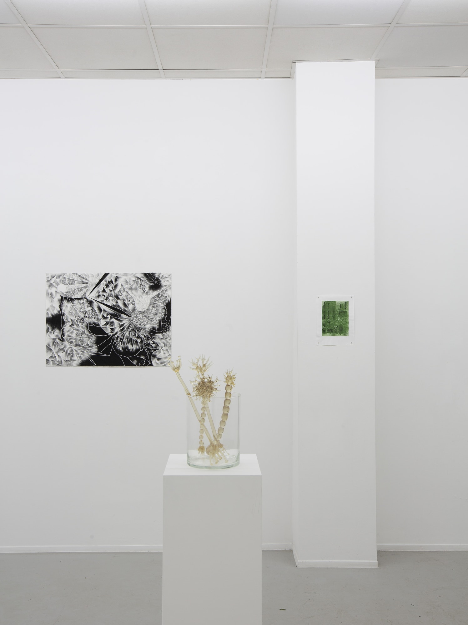 CLARA BUSCH & KAJA LAHODA