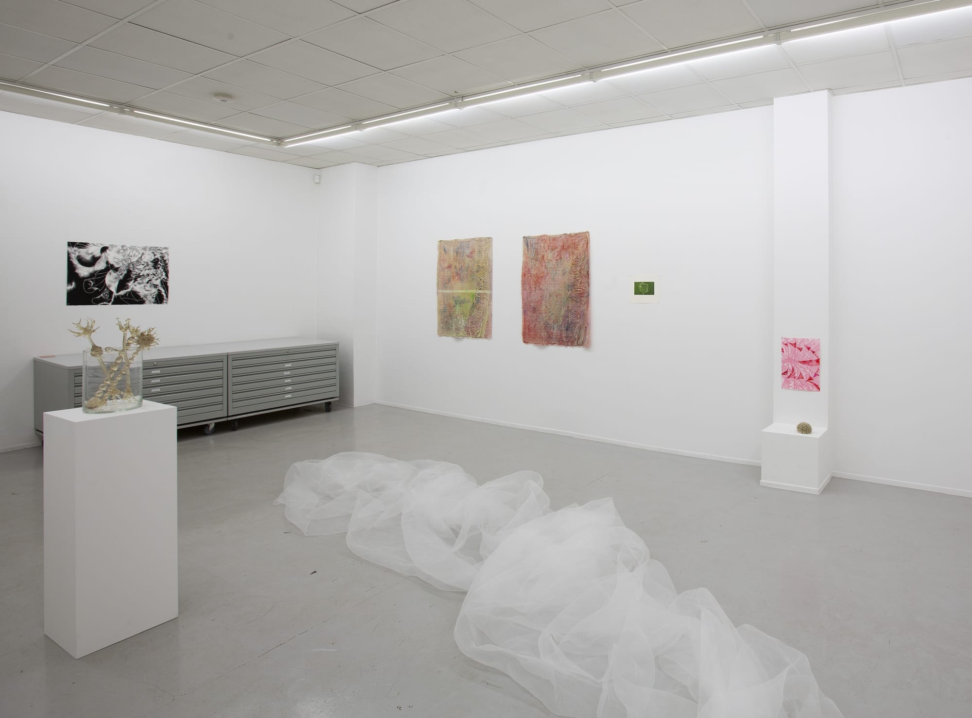 CLARA BUSCH & KAJA LAHODA