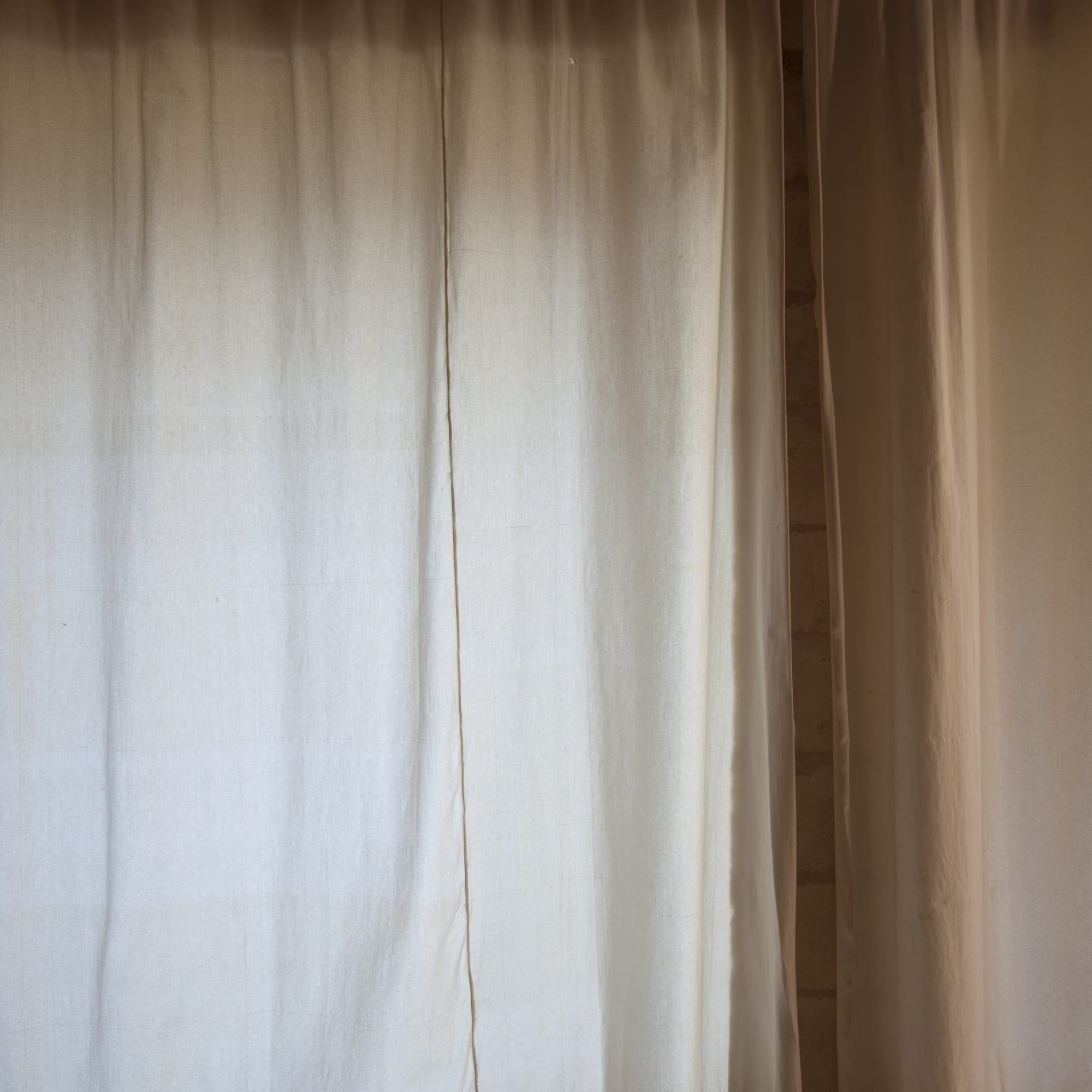 Torben Eskerod, Can Lis No.18165-K , 2020