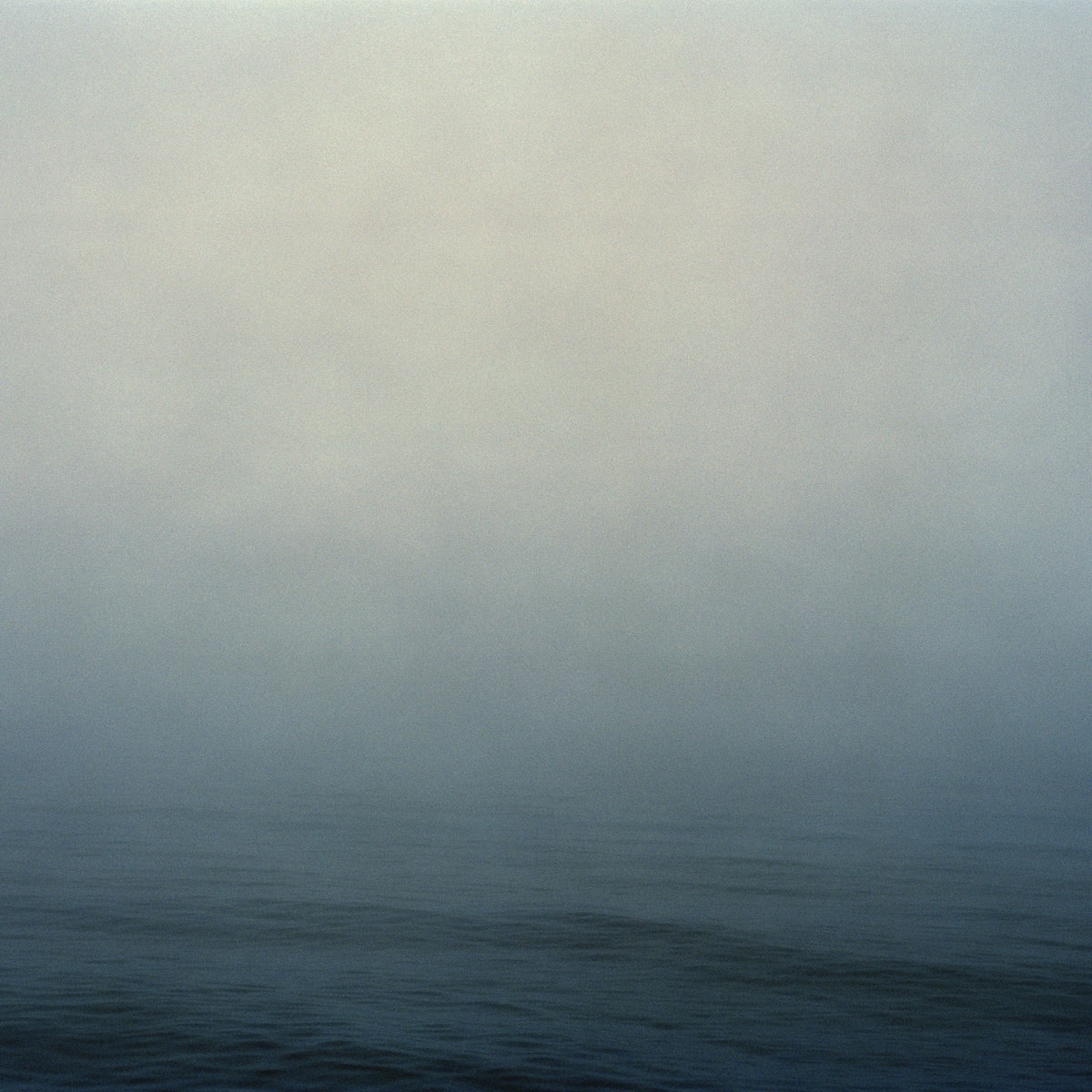 Torben Eskerod, Marselis #9738-15, 2020