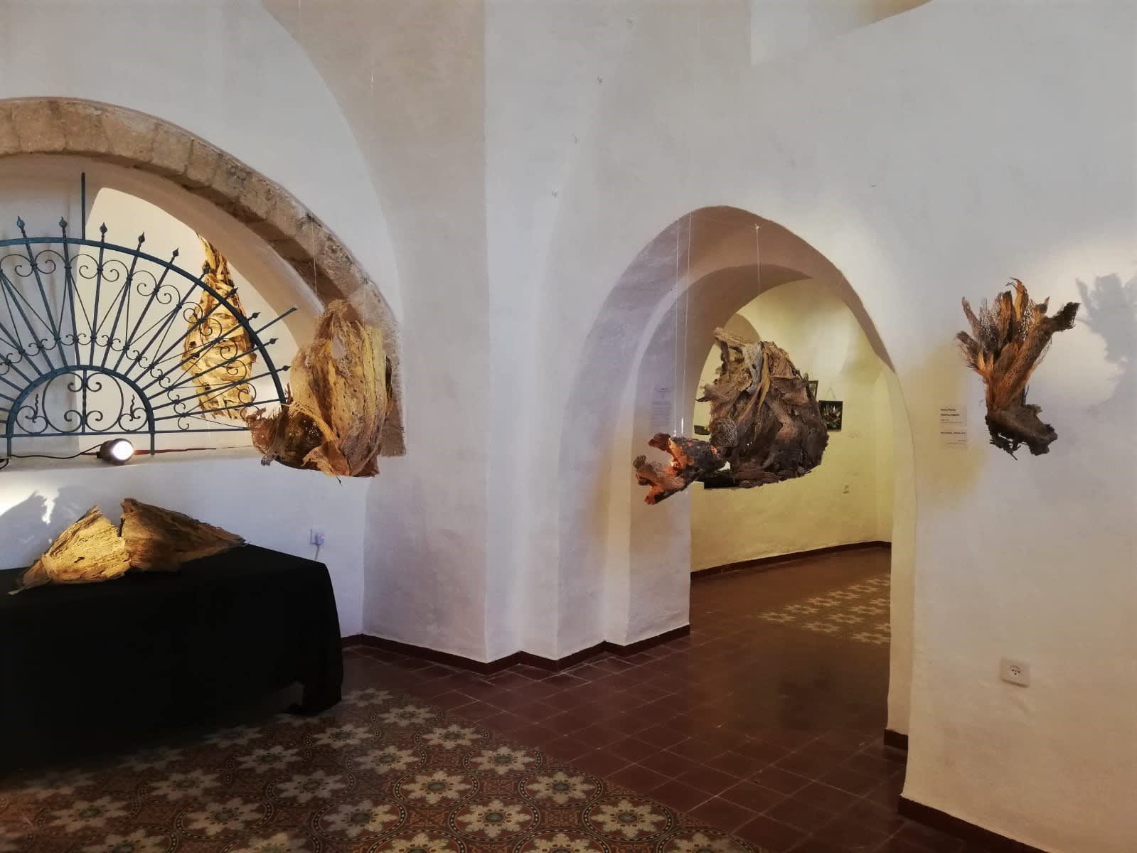 The State of the Prickly Pear: Shai Zakai