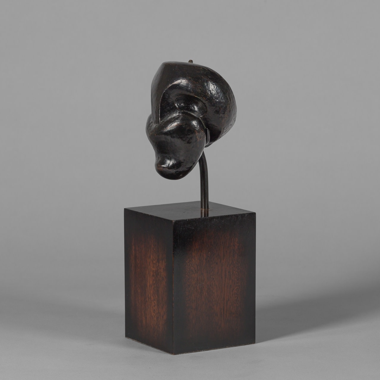 Raymond Duchamp-Villon