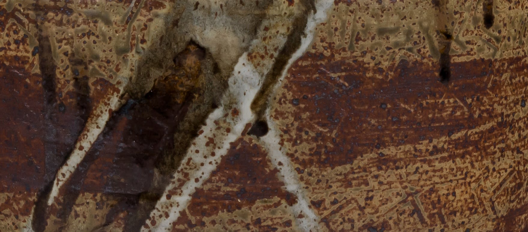 Janet Leach: In association with Jonathan Reed