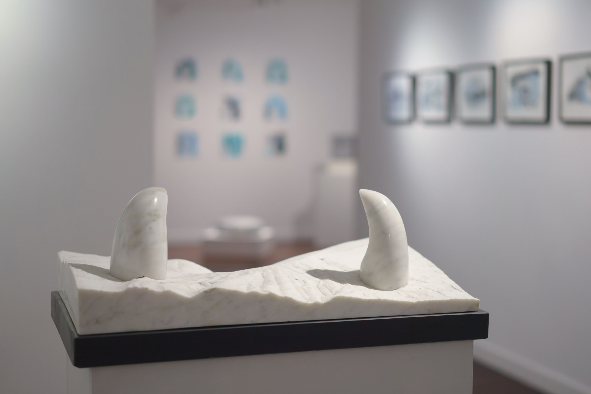 Tonia Gunstone x Jonathan Loxley: 63°N 19°W COORDINATED