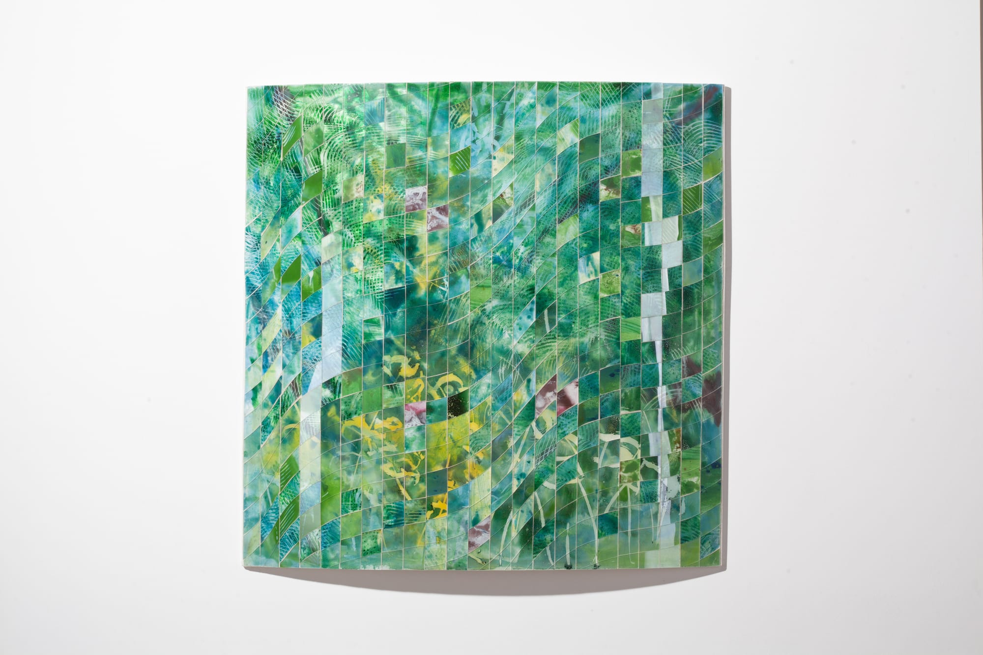 Rebecca Newnham, Tremenheere Pond Dicksonia, 2024