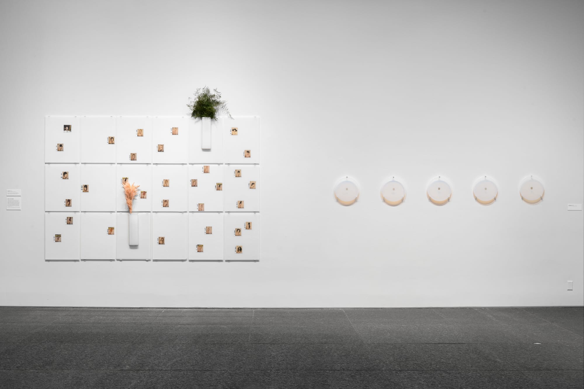 Installation view, Forum 85: Sara Greenberger Rafferty, Carnegie Museum of Art, Pittsburgh, PA Photo by Bryan Conley.