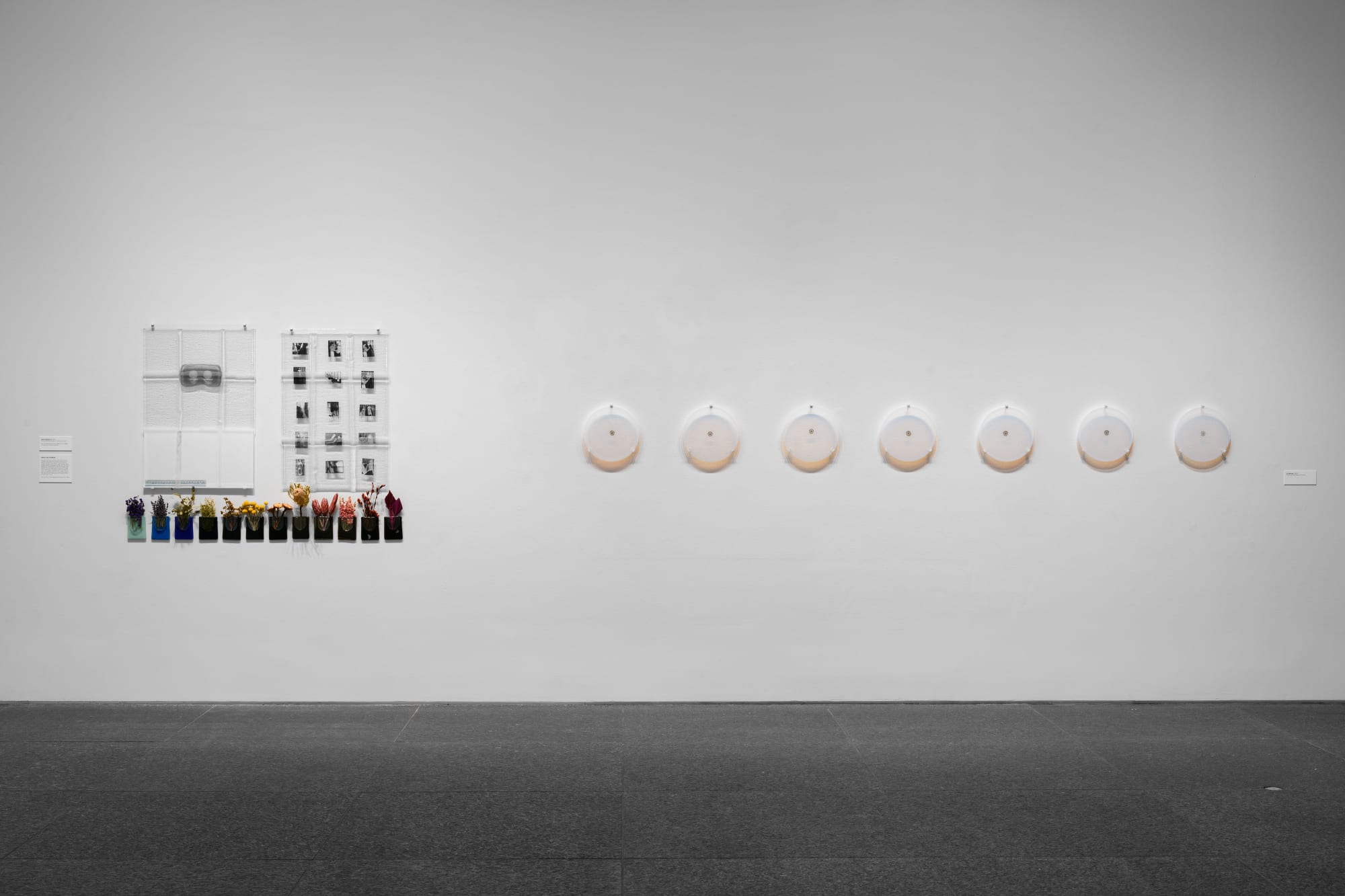 Installation view, Forum 85: Sara Greenberger Rafferty, Carnegie Museum of Art, Pittsburgh, PA Photo by Bryan Conley.