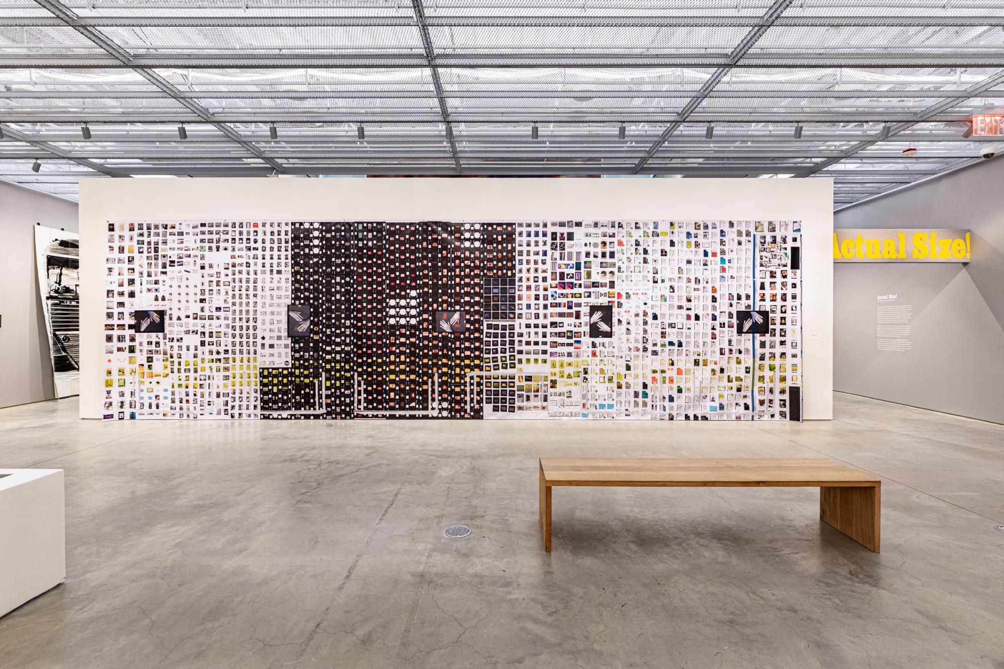 A Trillion Sunsets: A Century of Image Overload