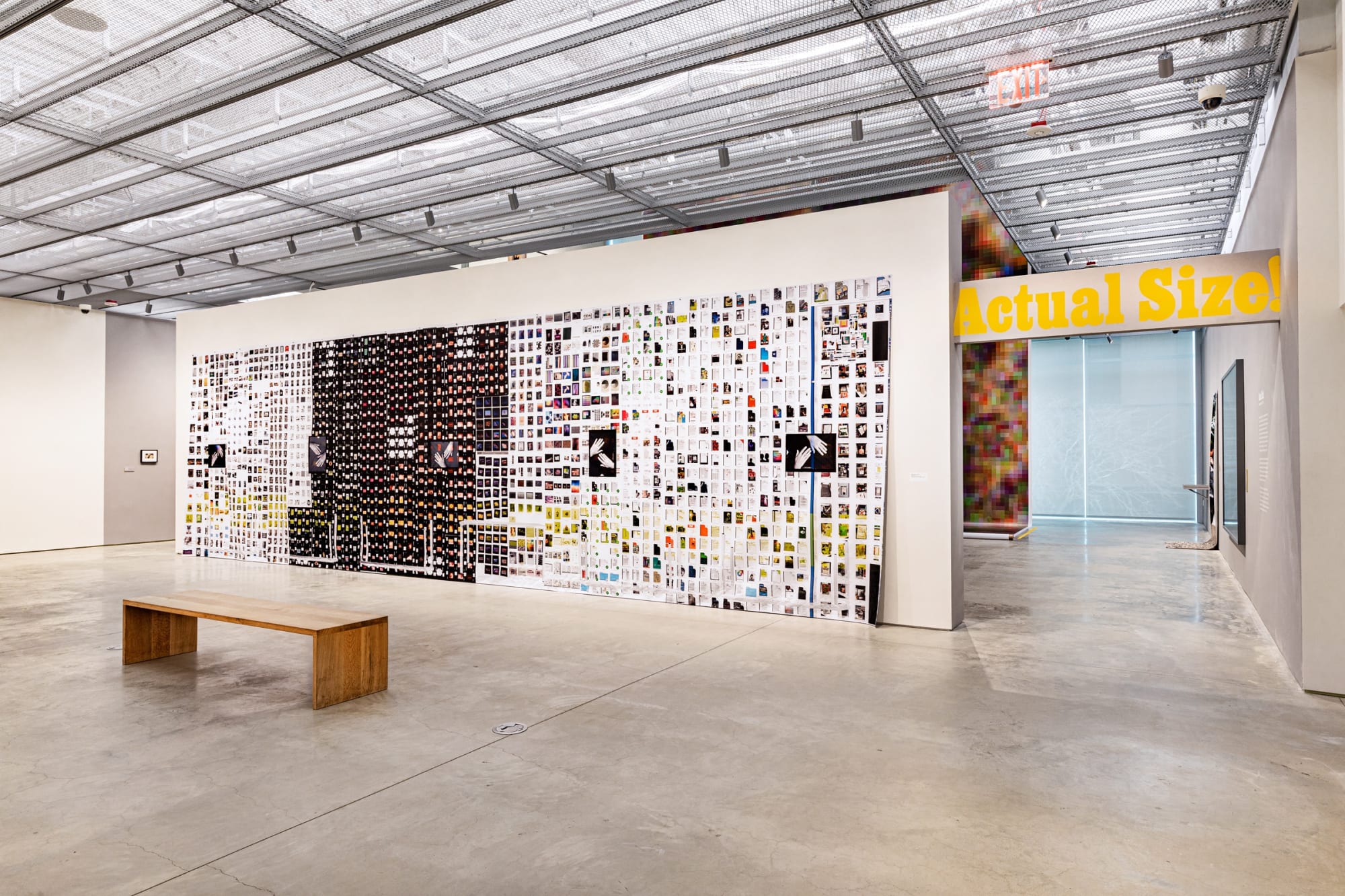 A Trillion Sunsets: A Century of Image Overload