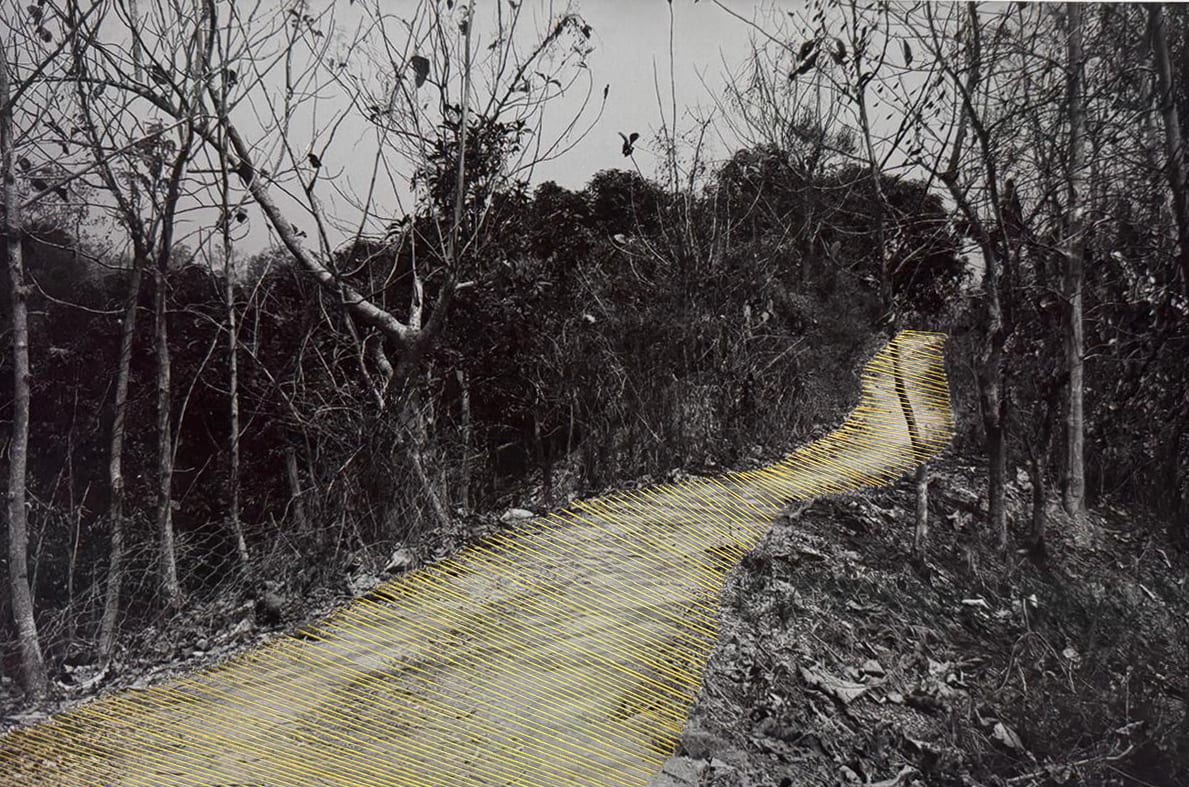 Ashfika Rahman Bon Bibi and Hundred Saga, Path-11 C-type print on archival paper and golden silk thread