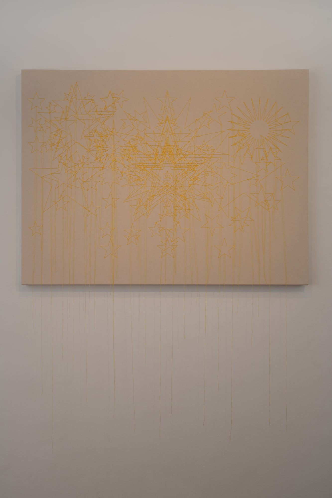 Shilpa Gupta Stars on Flags of the World, July 2011 Embroidery on cloth