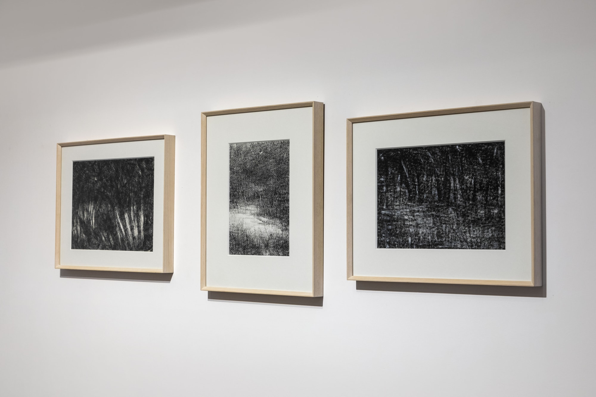 Paramjit Singh: Touched by the Sun