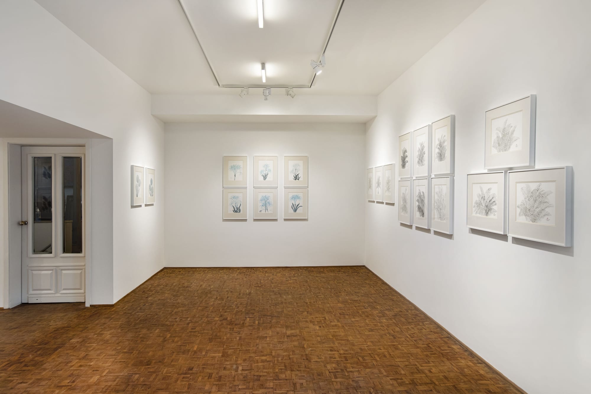 Chameli Ramachandran: Enchanted Garden